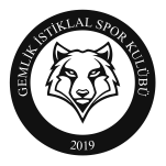 GEMLİK İSTİKLAL SPOR KULÜBÜ image